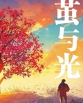 茧与光
