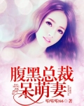 腹黑总裁呆萌妻