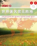 世界著名赏花胜地
