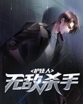 无敌杀手护佳人