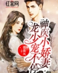神医小娇妻，龙少宠不停