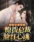 娇娇小妻驾到，撩拨总裁脸红心跳