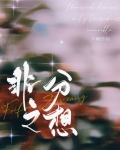 非分之想