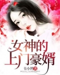 女神的上门豪婿