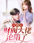闪婚后，财阀大佬沦陷了