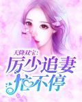 天降双宝:厉少追妻忙不停