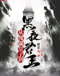 从傀儡皇子到黑夜君王