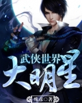 武侠世界大明星