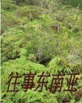 闯入缅北的一群人