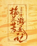 梅兰芳游美记