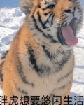 胖虎想要悠闲生活