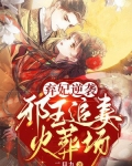 弃妃逆袭,邪王追妻火葬场