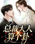 总裁大人算个卦