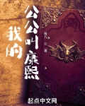 我的公公叫康熙