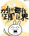 别拦着我征服世界