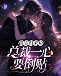 携宝归来后,总裁一心要倒贴