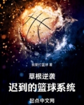 草根逆袭：迟到的篮球系统