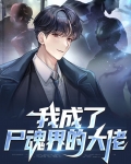 我成了尸魂界的大佬