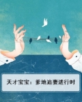 天才宝宝：爹地追妻进行时