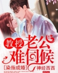 染指成婚，教授老公难伺候