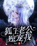狐王老公独宠我