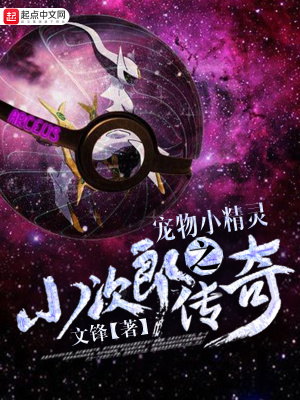 宠物小精灵之小次郎传奇
