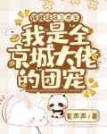 锦鲤妹妹三岁半，我是全京城大佬的团宠