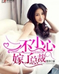 一不小心嫁了总裁