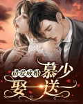 错爱成婚：慕少娶一送一
