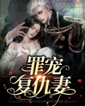 罪宠复仇妻