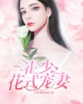 霍少花式宠妻
