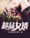 超品女婿