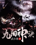 九阳神诀
