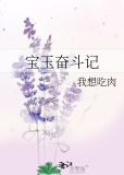 宝玉奋斗记